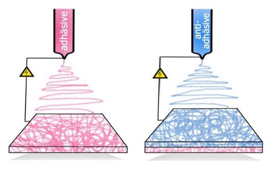 Tissue engineering