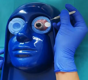 Drug delivery & ocular patches
