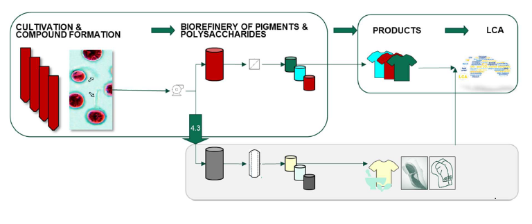 REPTA - Red Algal Pigments for Textile Coloration