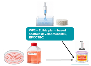 Biobasierte Lebensmittel-Scaffolds